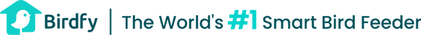Birdfy logo