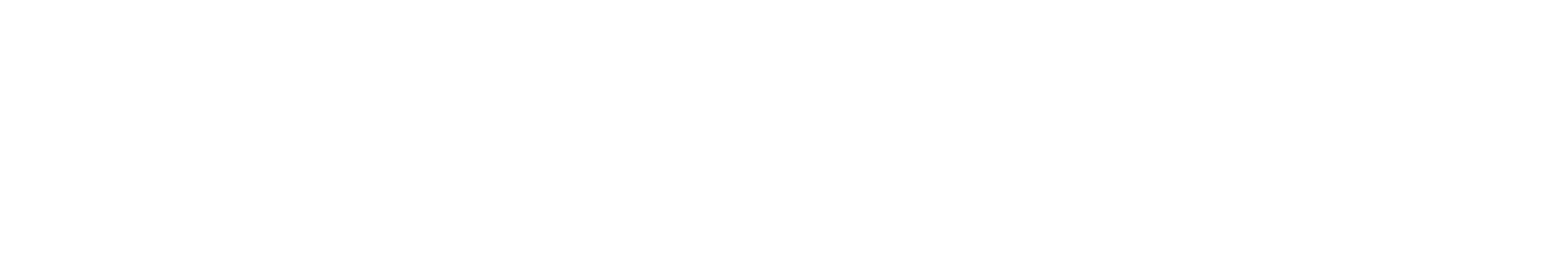 Niche Essence logo